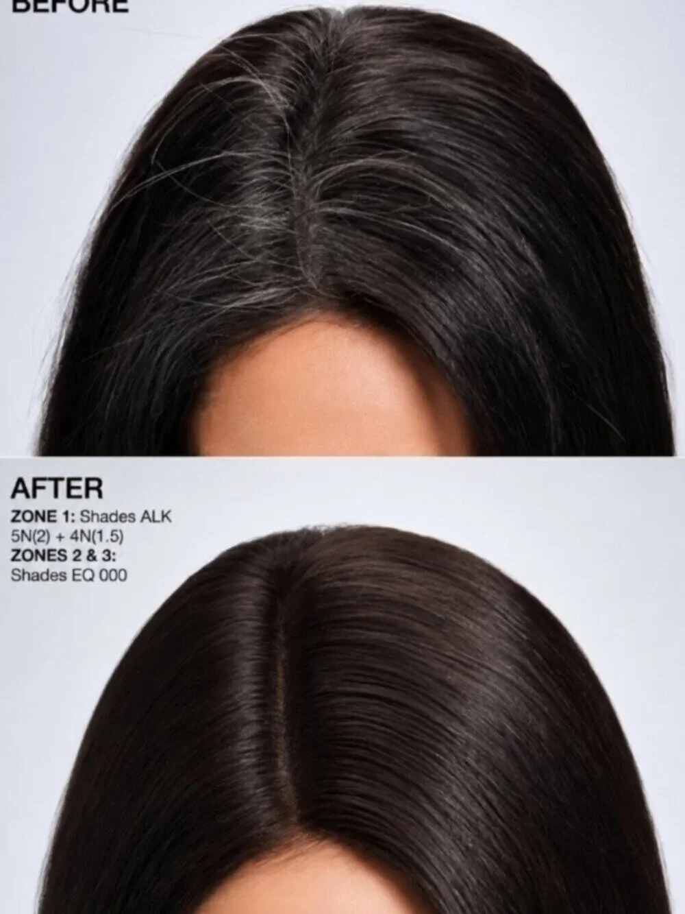 Redken Shades ALK 6R Demi-Permanent Liquid-Cream Hair Color 2.1 oz